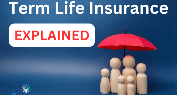Term Life Insurance Explained - Partners Insurance, Inc.